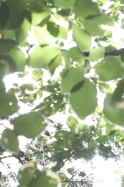 企業道德與永續經營