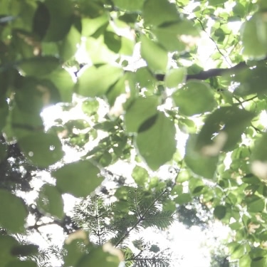 企業道德與永續經營